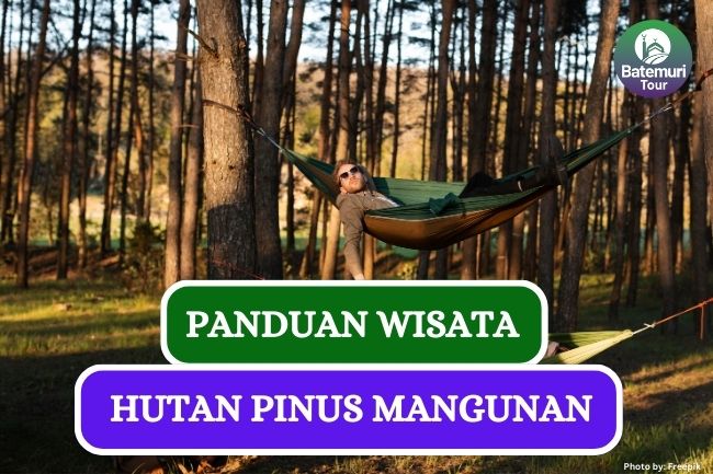 Wisata Alam Hutan Pinus Mangunan, Ini Dia  HTM dan Panduannya